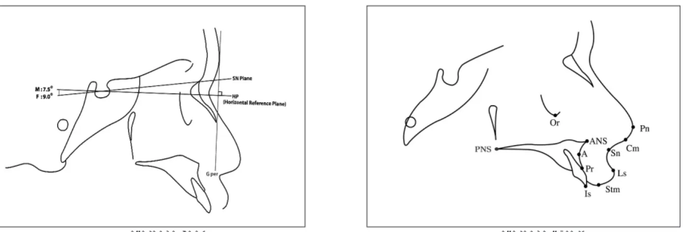 Fig. 1. Reference lines. Fig. 2. Reference points.