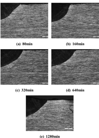 Fig. 7 Micrographs after oxalic acid etching test of weld specimen under various heating time (min)