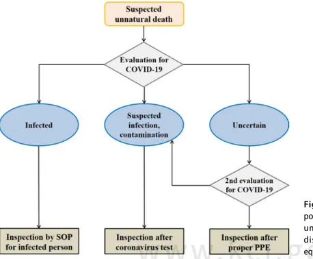 Fig. 1. Standard operating procedure (SOP) for the 