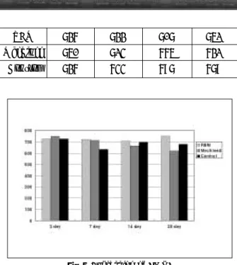 Fig. 5. Expression of BMP4