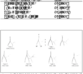 Table 3. Size of Vessels(at branching point)  Branches of lateral  Size(mm)