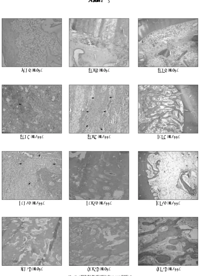 Fig. 7. Histologic findings (H&amp;E stain).