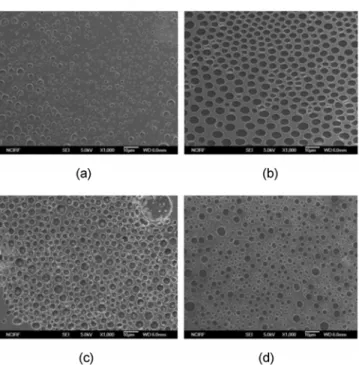 Fig. 3. Scanning electron micrographs of (a) 14 ml, (b) 16 ml, (c) 18 ml, (d) 20 ml, amounts of chloroform on PPO-PWA-MC films.