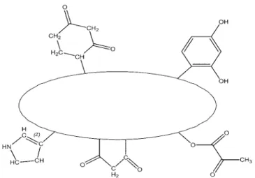 Fig. 1. General structure of humic acid.