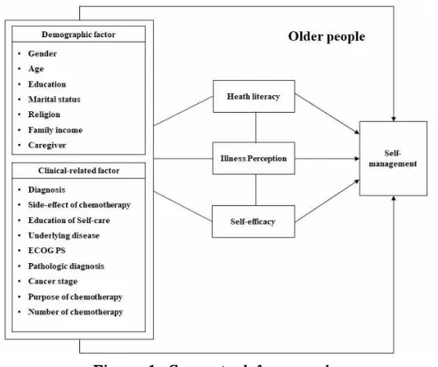 Figure 1. Conceptual framework