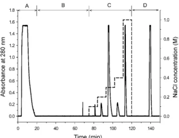 Fig. 17. Solid-phase refolding chromatogram of cell homogenate using expanded bed adsorption chromatography