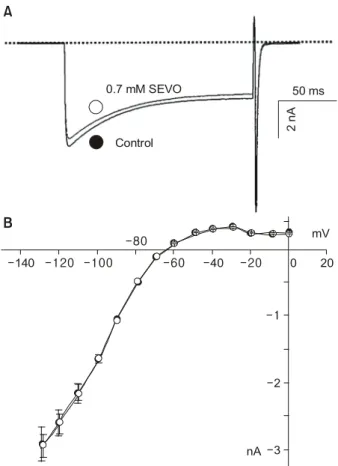 Fig.  4.    Effect  of  sevoflurane  (SEVO)  on  inwardly  rectifying  K + current  (I k1 )  in  rat  ventricular  myocytes