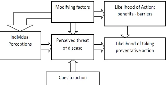 Figure 4. Health Belief Model 29