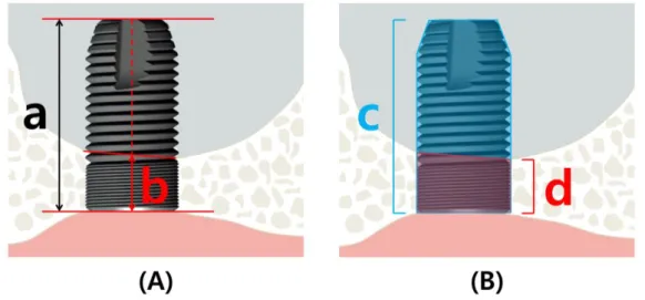 Figure  2  shows  the  linear  measurements  and  the  2-dimensional  measurements  that  were obtained between landmarks