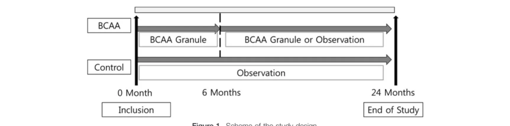 Figure 1. Scheme of the study design.
