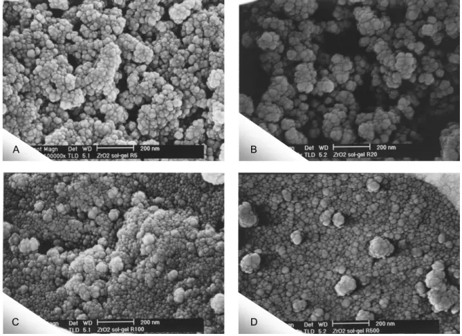 Fig. 5. SEM images of YSZ powders dried at 100 o C(A: R5, B: R20, C: R100, D: R500).