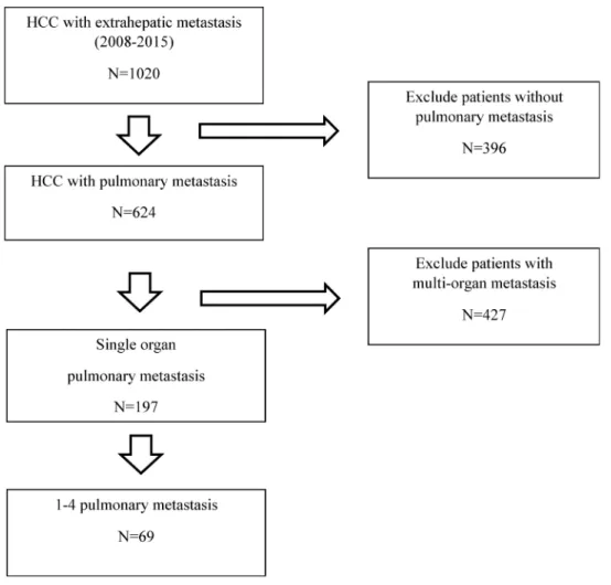 Figure 1 Flowchart of patient selection.