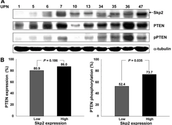 Fig. 3 Kaplan-Meier survival