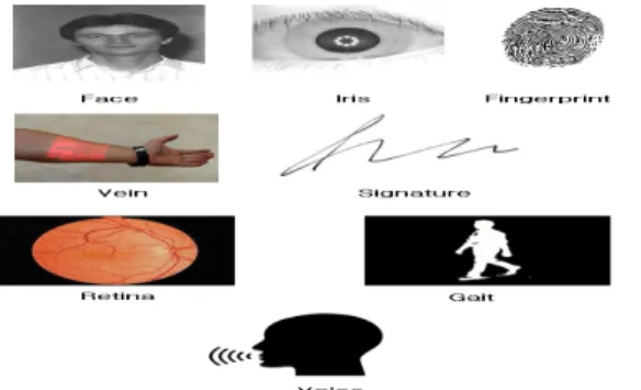 Fig. 3. Process of Information Fusion