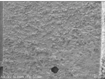 Figure 1. SEM  micrograph  of  dentin  side  showing  a representative  cohesive  failure  within  Panavia  F  2.0  (×