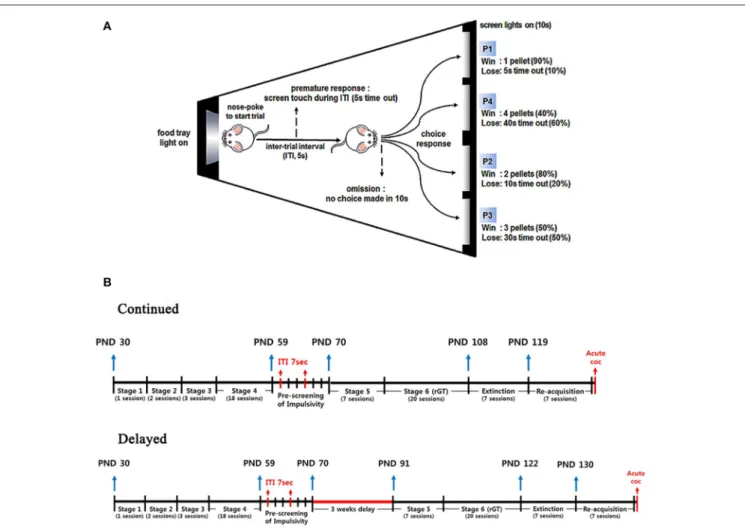 FIGURE 1 | Schematic diagram for the rGT chamber and time lines for the whole experimental procedures
