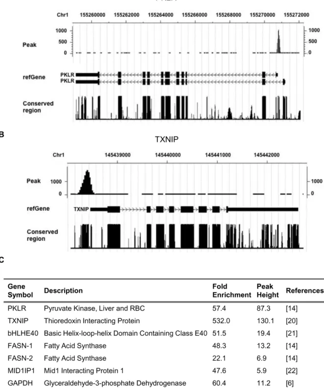 Figure 2. Characterization of ChREBP binding sites at selected gene loci. (A, B) CisGenome Browser screenshots of peaks associated with the PKLR and TXNIP genes