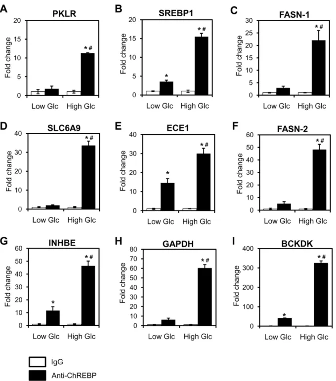 Figure 3. Effects of glucose on ChREBP binding. HepG2 cells were treated with low (2.7 mM) and high (25 mM) glucose for 8 h