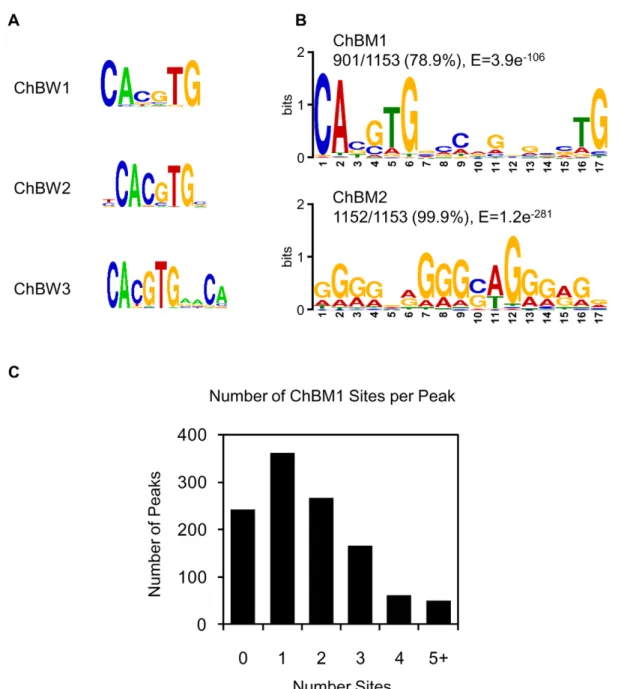 Figure 4. Enriched motifs in ChREBP binding sites in human liver DNA. The 1153 peak regions were analyzed for overrepresented motifs using W-ChIPMotifs (A) and MEME (B)