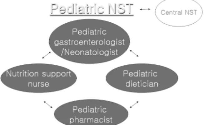 Fig.  1.  The  members  of  the  pediatric  nutritional  support  team.자료가 전혀 없기에 현시점에서 이에 대한 검토가 필요하다고 하겠다