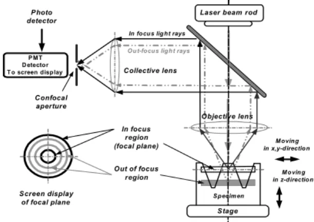 Fig. 2 Volume estimation
