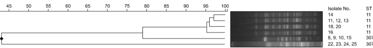 Fig. 2. KPC-producing Klebsiella pneumoniae dendrogram based on Pulsed-field gel electrophoresis (PFGE) pattern and their sequence type
