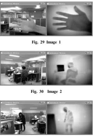 Fig. 29 Image 1