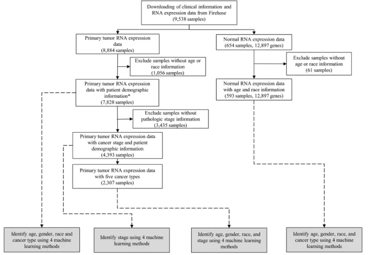Figure 1.  Patient inclusion and exclusion criteria (white boxes) and flowchart of the study design