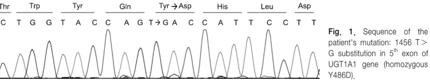 Fig.  1.  Sequence  of  the  patient's  mutation:  1456  T＞