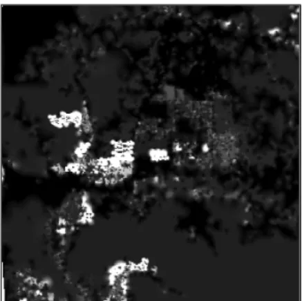 Figure 3. Raster-based DTM