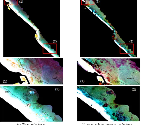 Figure 4. Variation of brightness by depth between water reflectance image and water column corrected water  reflectance 4