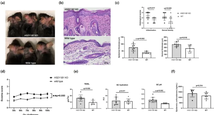 Figure 5.  Oxazolone-induced atopic dermatitis in HSD11B1 KO and WT mice. (a) Gross photographs of 