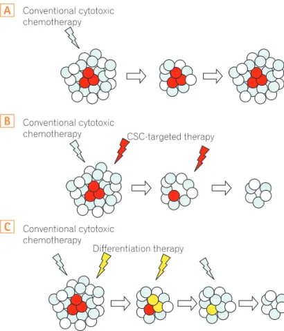 Fig. 2. Concept of cancer stem cell (CSC)-targeted therapy. Conven- Conven-tional chemotherapy does not target cancer stem cells (red), which is  resistant to chemo and radiation therapy
