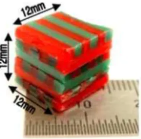Figure  3.  A  wax  cube  used  in  this  study 