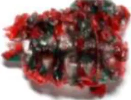 Figure  4.  A  chewed  wax  specimen  produced  by  one  study  subject