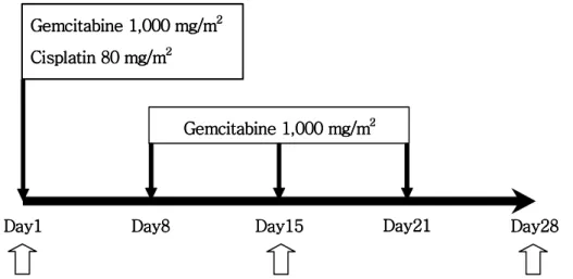 Figure 1. The schedule of gemcitabine and cisplatin combination chemotherapy