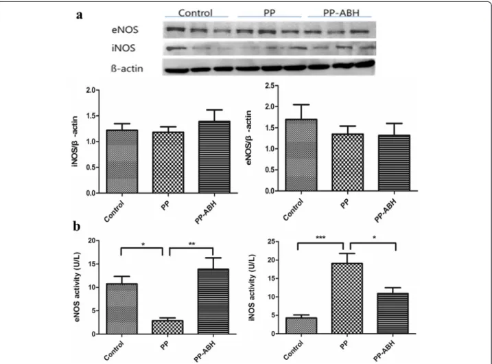 Fig. 3 Expression and activity of endothelial and inducible nitric oxide synthase. a Expression of endothelial nitric oxide synthase (eNOS) and inducible nitric oxide synthase (iNOS) did not differ significantly among the three treatment groups