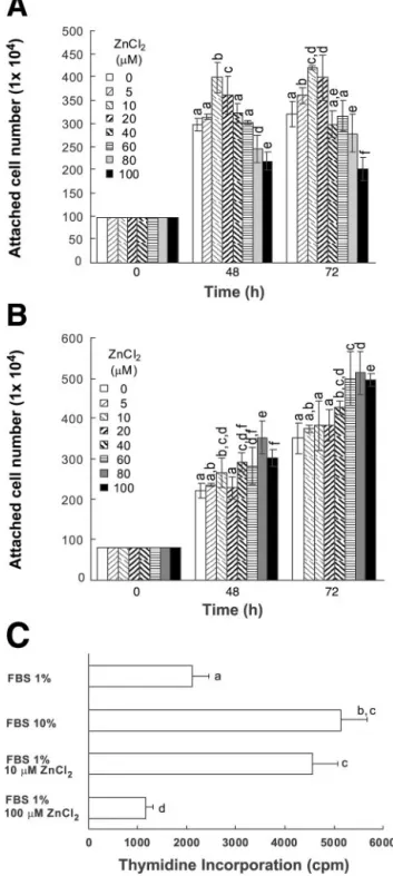 Fig. 1. Effects of different concentrations of extracellular zinc on HT-29 cell growth