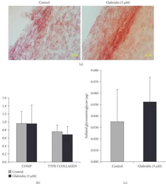 Figure 5: Eﬀect of glabridin on chondrogenesis in MSCs. (a) Chondrogenic diﬀerentiation was evaluated by safranin O staining