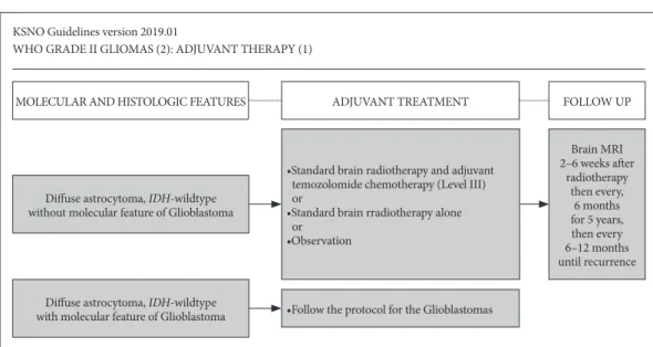 Fig. 2. Guideline for adjuvant therapy of patients with diffuse astrocytoma, IDH-wildtype