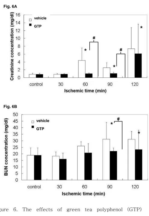 Figure  6.  The  effects  of  green  tea  polyphenol  (GTP)  pretreatment  on  renal  function