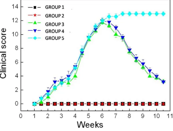 Figure  1. The severity of arthritis in mice. CIA mice model were treated by collagen at 