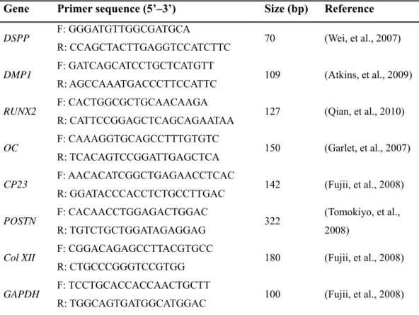 Table 1. Primer sequences and sizes used for qRT-PCR. The annealing procedures were 