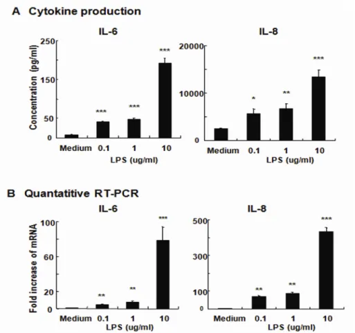 Figure  3.  Cultured  human  conjunctival  epithelial  cells  (HCECs)  are  responsive  to  LPS