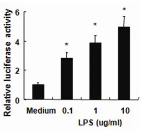 Figure  4. To  characterize NF- κ B  activation, cultured  human  conjunctival  epithelial  cells  (HCECs)  were  transfected  with  NF- κB-luciferase reporter plasmids and were  left untreated or were exposed to LPS (10 ug/ml) for 6 h