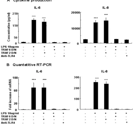 Figure  5.  LPS-induced IL-6  and  IL-8  expressions  are abolished by blocking TLR4  or  TRAF6  activity  in cultured  human  conjunctival  epithelial  cells  (HCECs)