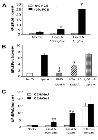Figure 4. Lipid A-induced NF- κB activity depends on the presence of serum and is blocked by 
