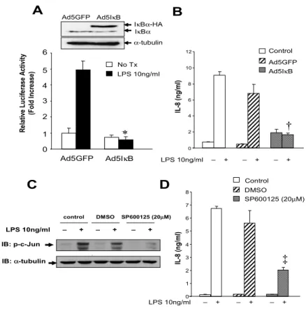 Figure 9. LPS-induced IL-8 secretion is dependent on NF- κB and JNK activity in activated human 