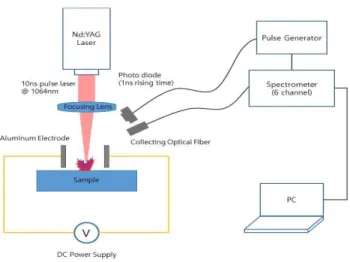 Figure 1. Schematic of lab. scaled LIBS