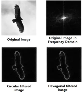 Fig. 5. Sample results of filtered image (high-pass filter)  using both circle and polygon shaped filters